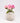 Light pink rose flower vase